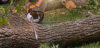 Best Lawn Drainage Solutions  in West Bend, WI