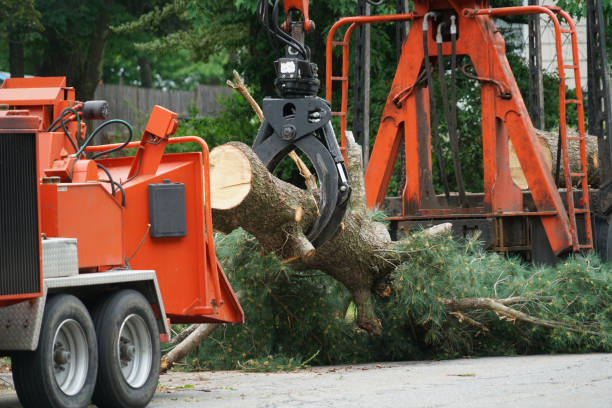 Best Lawn Grading and Leveling  in West Bend, WI